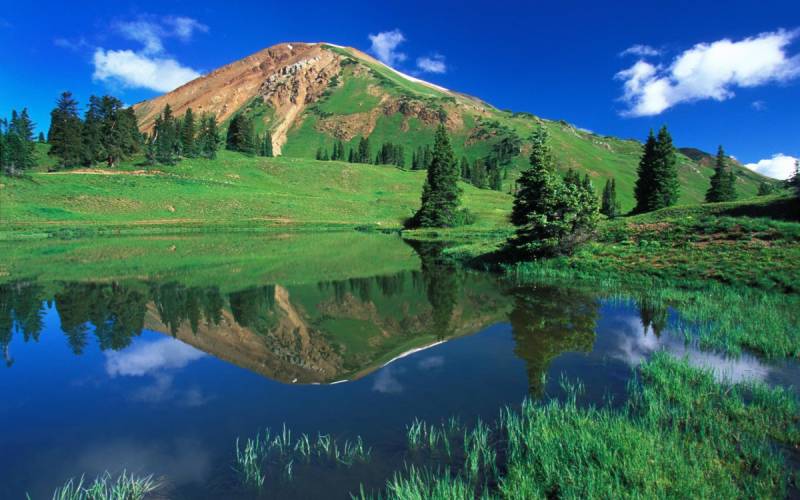 老司机亲测的4个简单又实用的高温天养车技巧